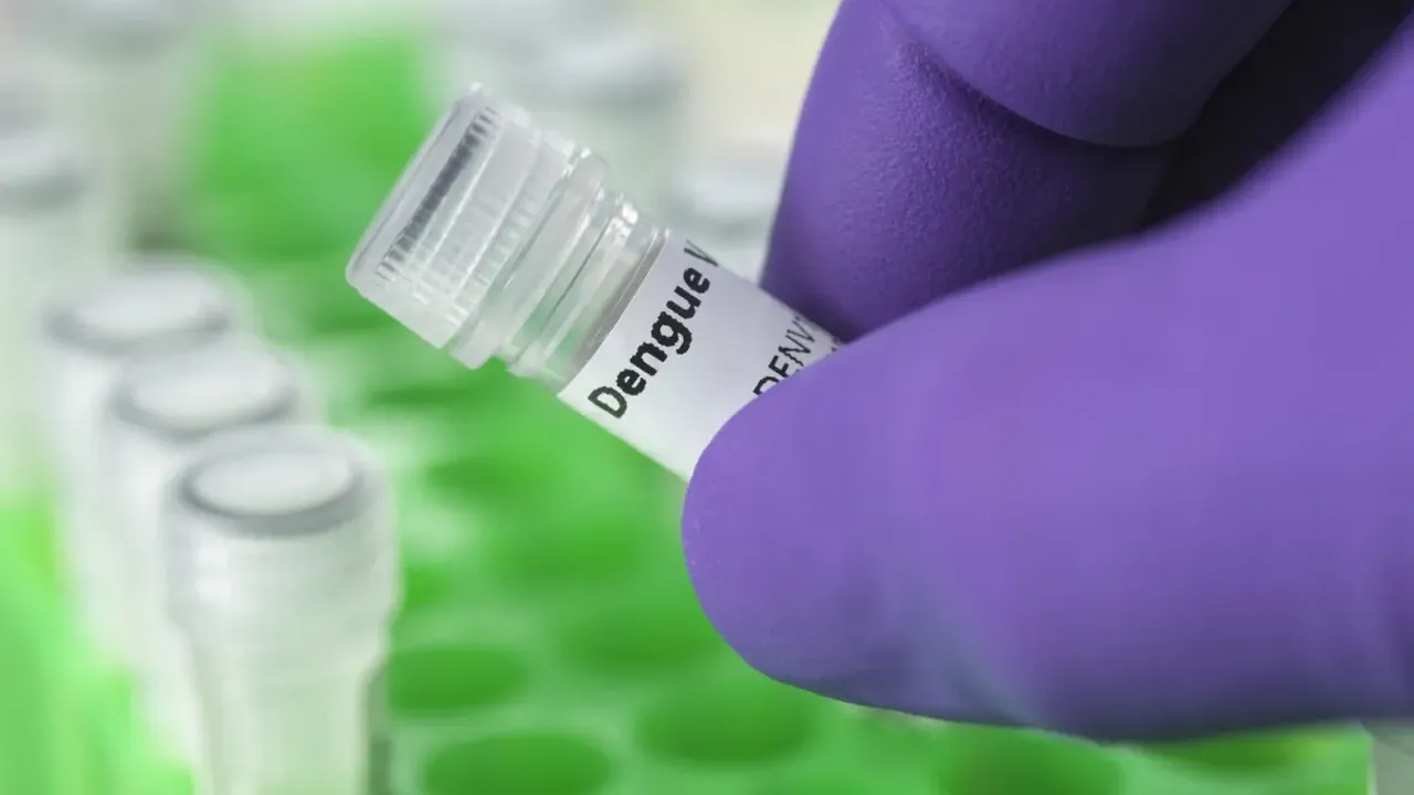 Profissional de laboratório segurando um frasco identificado para pesquisa de vírus da dengue